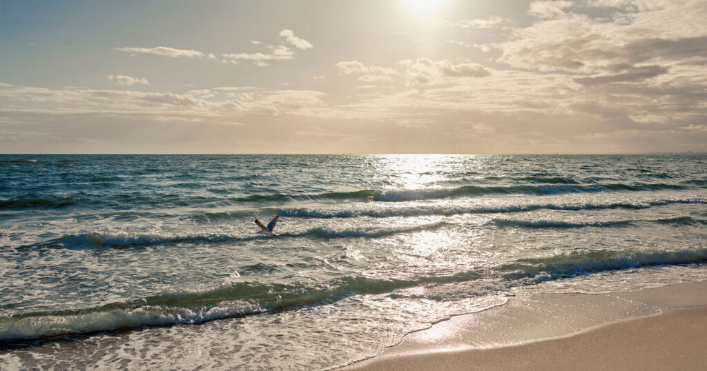 Golden_Age_Maritima_Brighton_Location_Brighton_Beach_1_2000x1050